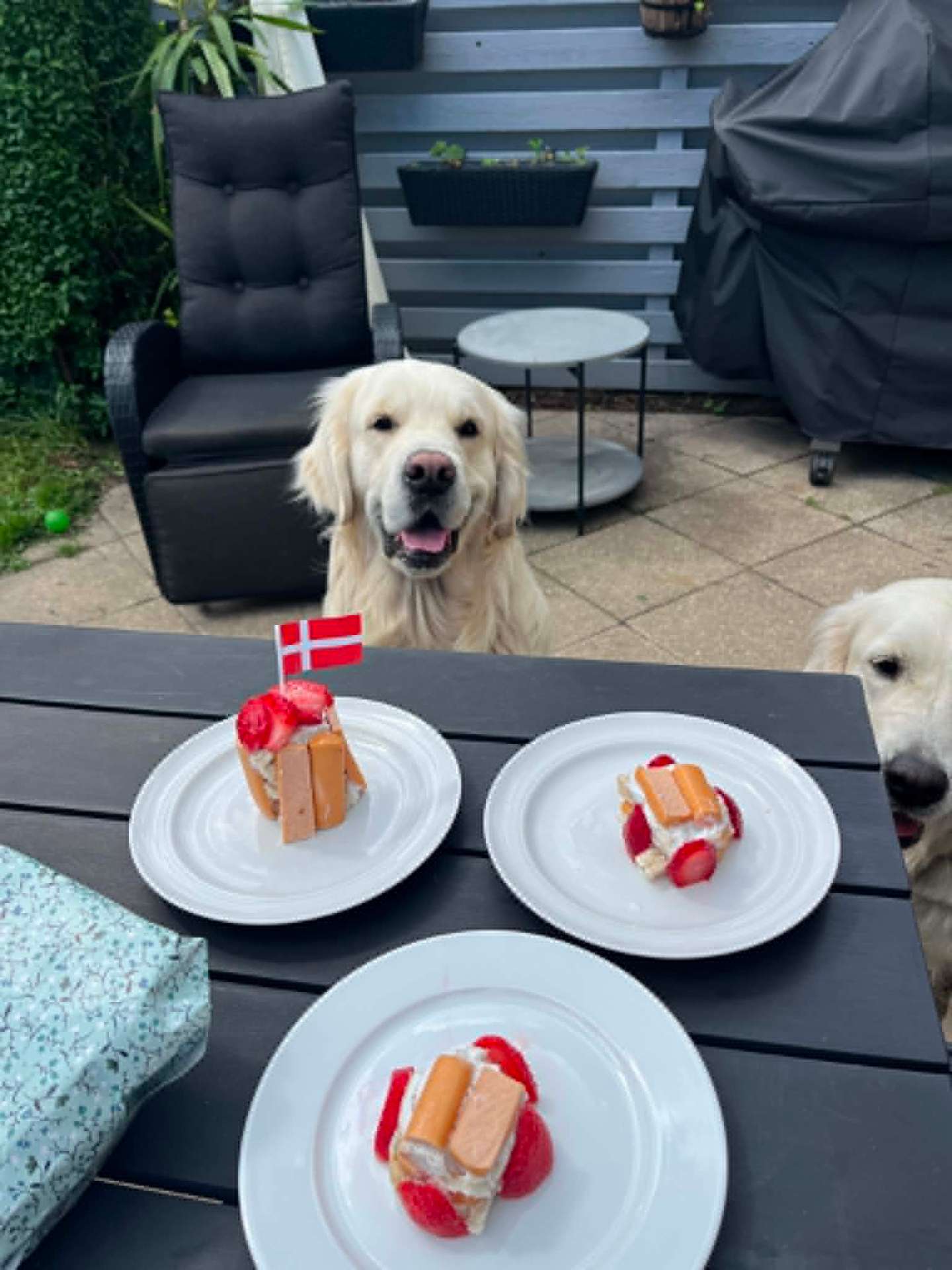 Vores hund Max